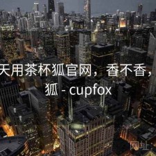 这两天用茶杯狐官网，香不香，茶杯狐 - cupfox