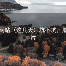 蘑菇网站（这几天）坑不坑，蘑菇网片