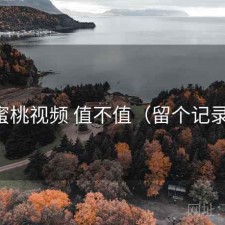 蜜桃视频 值不值（留个记录）