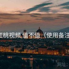 红桃视频 值不值（使用备注）