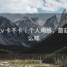 蘑菇tv 卡不卡｜个人用感，蘑菇tv怎么样