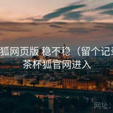 茶杯狐网页版 稳不稳（留个记录），茶杯狐官网进入