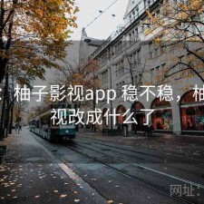 记录：柚子影视app 稳不稳，柚子影视改成什么了