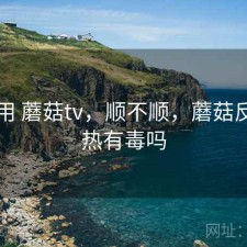 反复用 蘑菇tv，顺不顺，蘑菇反复加热有毒吗