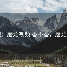 随记：蘑菇视频 香不香，蘑菇视呢