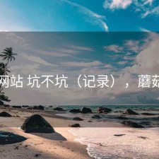 蘑菇网站 坑不坑（记录），蘑菇网片