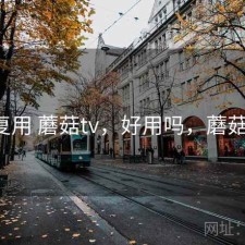 反复用 蘑菇tv，好用吗，蘑菇zt2