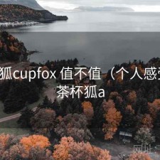 茶杯狐cupfox 值不值（个人感受），茶杯狐a