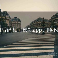 用后记 柚子影视app，顺不顺
