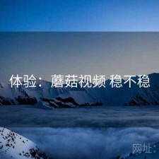 体验：蘑菇视频 稳不稳