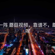 用了一阵 蘑菇视频，靠谱不，蘑菇视呢