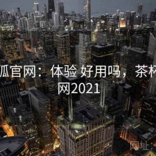 茶杯狐官网：体验 好用吗，茶杯狐官网2021