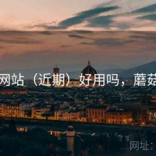 蘑菇网站（近期）好用吗，蘑菇网片