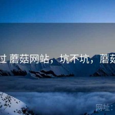 折腾过 蘑菇网站，坑不坑，蘑菇网片