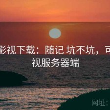 可可影视下载：随记 坑不坑，可可影视服务器端
