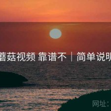 蘑菇视频 靠谱不｜简单说明