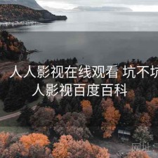 一笔：人人影视在线观看 坑不坑，人人影视百度百科