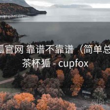 茶杯狐官网 靠谱不靠谱（简单总结），茶杯狐 - cupfox
