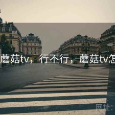 近期 蘑菇tv，行不行，蘑菇tv怎么样