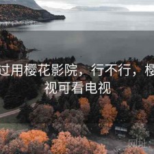 折腾过用樱花影院，行不行，樱花影视可看电视