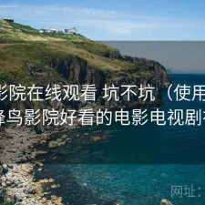 蜂鸟影院在线观看 坑不坑（使用备注），蜂鸟影院好看的电影电视剧在线