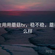 最近在用用蘑菇tv，稳不稳，蘑菇tv怎么样