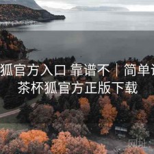 茶杯狐官方入口 靠谱不｜简单说明，茶杯狐官方正版下载