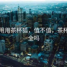 反复用用茶杯狐，值不值，茶杯狐安全吗