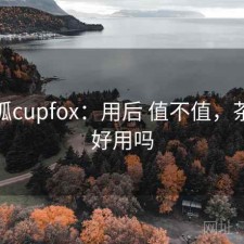 茶杯狐cupfox：用后 值不值，茶杯狐好用吗