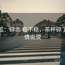 茶杯狐：碎念 稳不稳，茶杯碎了的心情说说