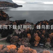 蜂鸟影院下载 好用吗，蜂鸟影音下载