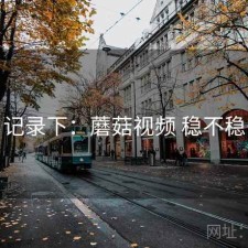 记录下：蘑菇视频 稳不稳