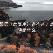 蜂鸟影院（反复用）香不香，蜂鸟影院是什么