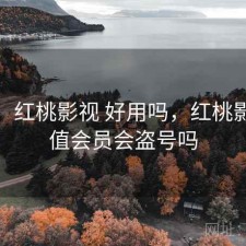 体验：红桃影视 好用吗，红桃影院充值会员会盗号吗