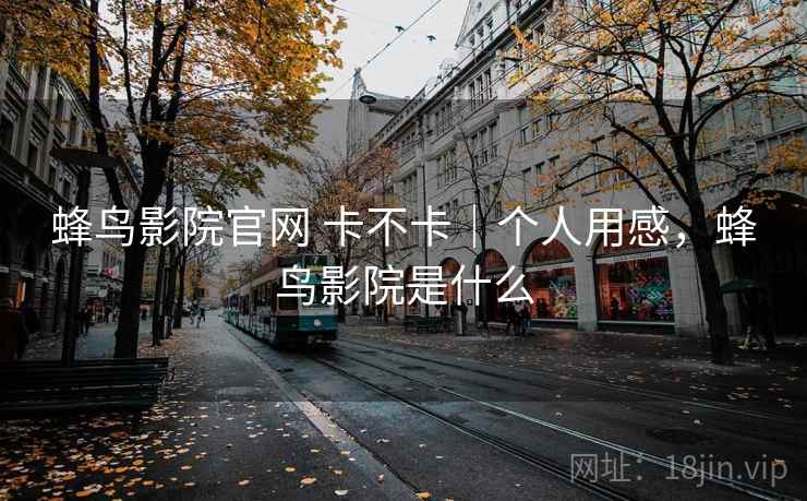 蜂鸟影院官网 卡不卡｜个人用感，蜂鸟影院是什么  第1张