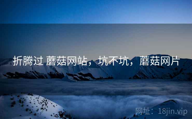 折腾过 蘑菇网站,坑不坑,蘑菇网片 第1张 折腾过 蘑菇网站,坑不坑,蘑菇网片 第1张