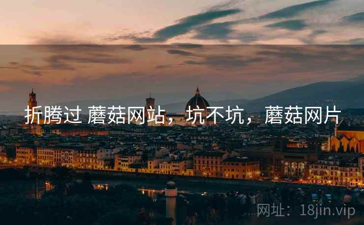 折腾过 蘑菇网站,坑不坑,蘑菇网片 第2张 折腾过 蘑菇网站,坑不坑,蘑菇网片 第2张