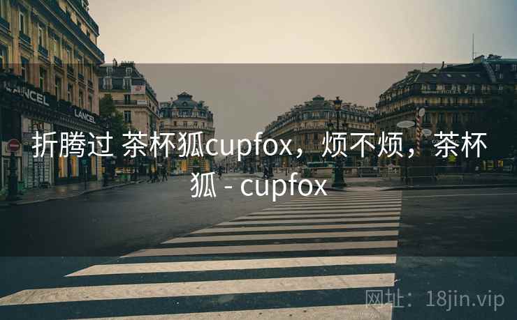 折腾过 茶杯狐cupfox,烦不烦,茶杯狐 - cupfox 第2张 折腾过 茶杯狐cupfox,烦不烦,茶杯狐 - cupfox 第2张